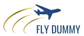 flydummy logo